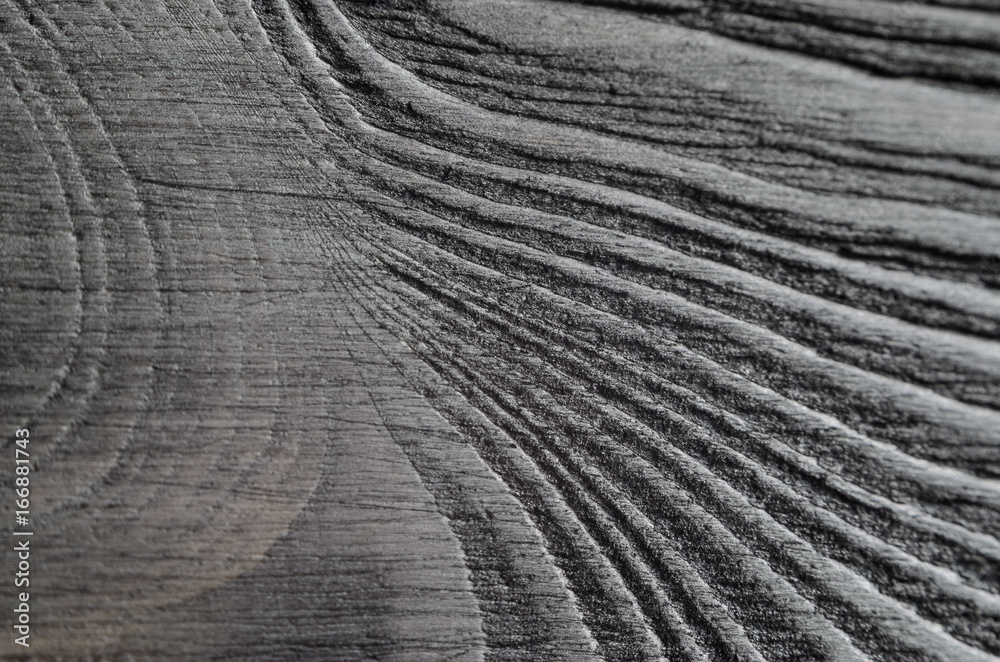 Black texture of a wooden board close-up. Wavy pattern of wood fibers Black texture of a wooden board close-up. Wavy pattern of wood fibers