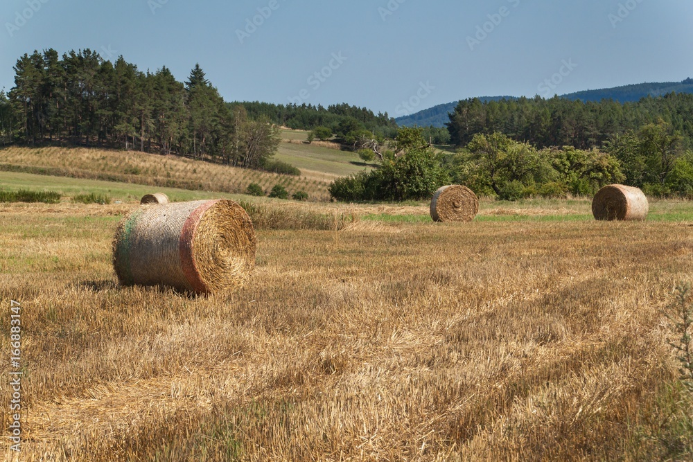 Straw bales on the stubble in the Czech Republic. Agricultural landscape, Harvest time.