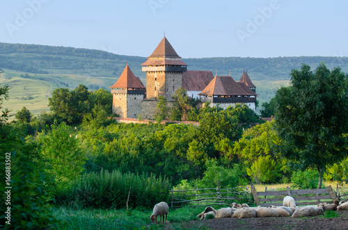 Fortified church in Viscri village, Romania photo