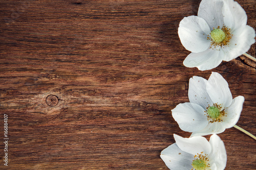White flowers on a wooden frame, background