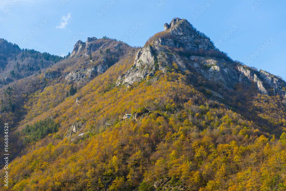 hatila valley national park,Artvin city in Turkey