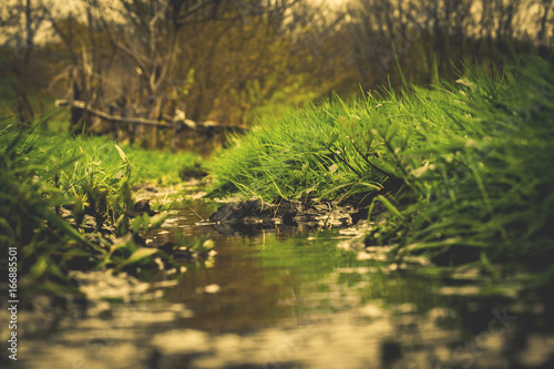 Summer sunny day. The current of a small river in the forest