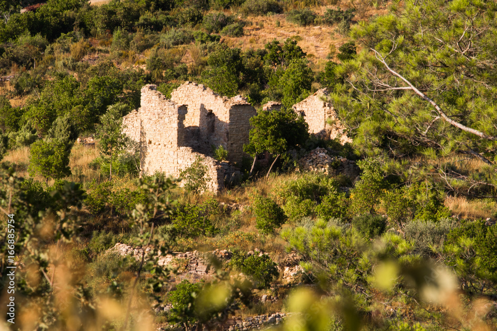 Ruin of an old farm in Provence