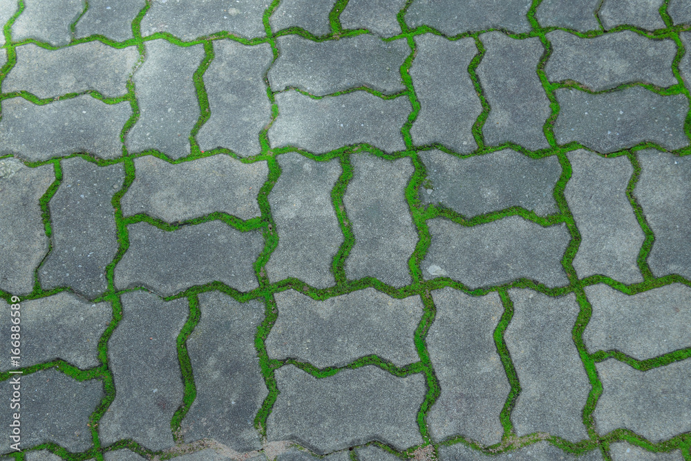 green mos on floor background