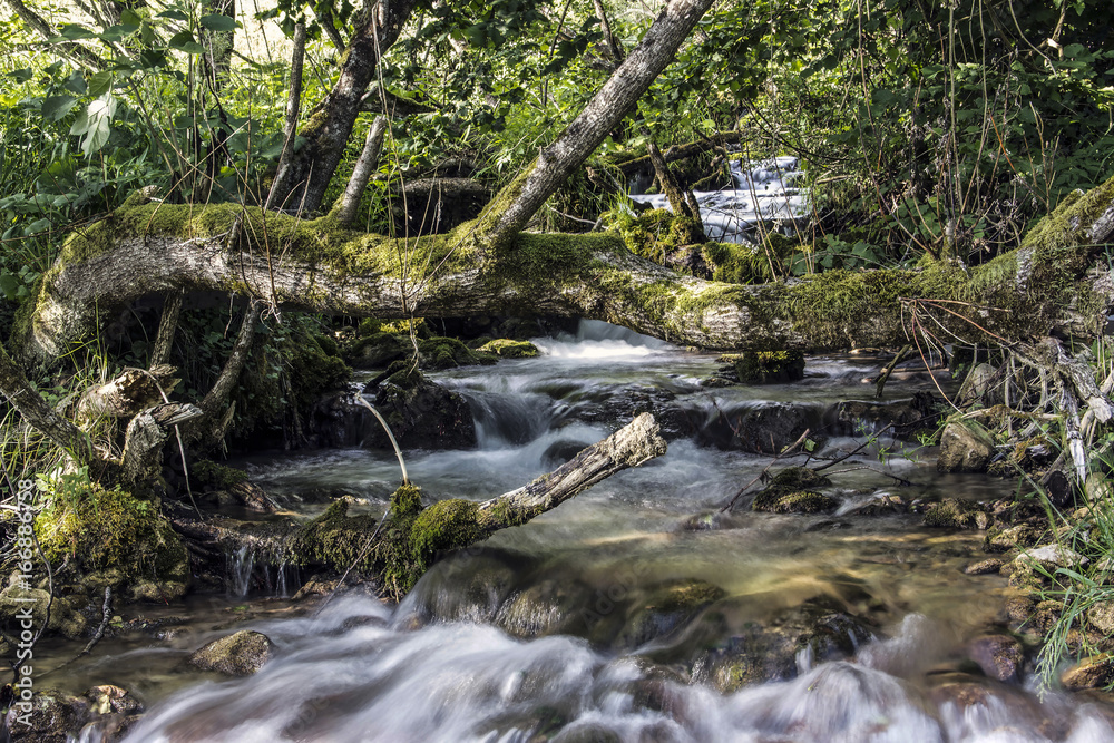 Fototapeta premium Waterfalls in a mountain stream