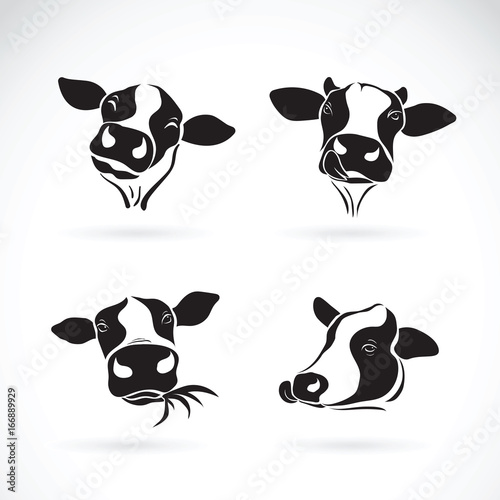 Vector group of a cow head design. Farm Animal.