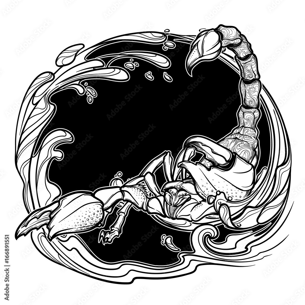 Alchemy element of water. Zodiac sign Scorpio. Detailed realistic