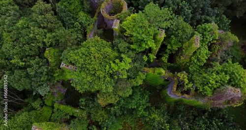 Aerial view of derelict castle ruins overgrown with trees. photo