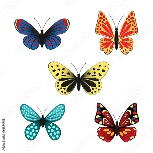 set of butterflies