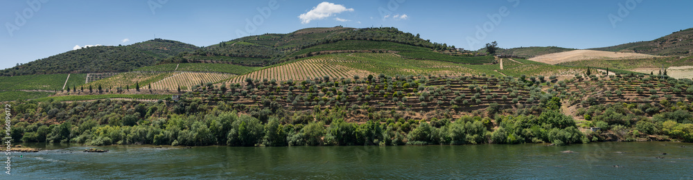 Point of view shot of terraced vineyards in Douro Valley