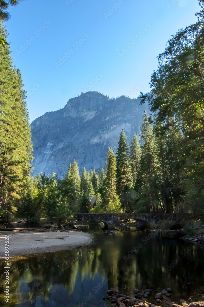 The Forest at Yosemite, CA, USA, September, 2016