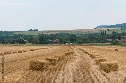 Village near the field with bales © Georgi