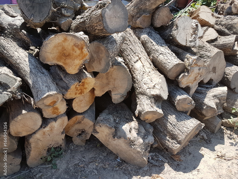 Pile of dry tree logs. Tree trunks for fireplace Pile of dry tree logs. Tree trunks for fireplace