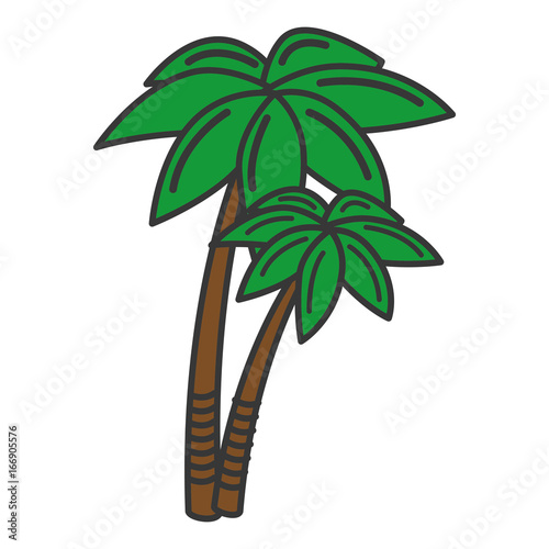 tree palms isolated icon