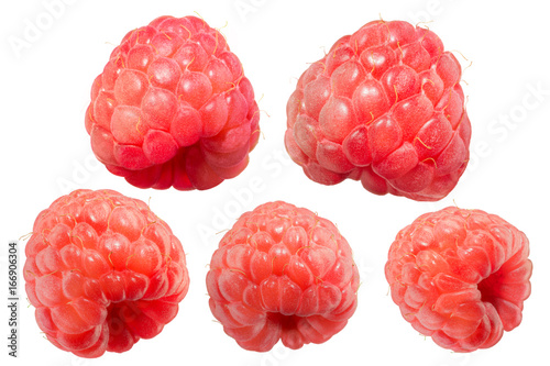 A beautiful selection of raspberries