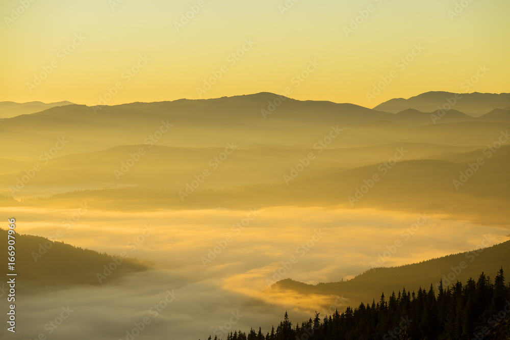 Sunrise of the Carpathian mountains in the summer. Ukraine