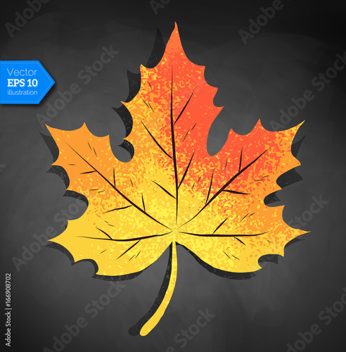 Yellow autumn maple leaf