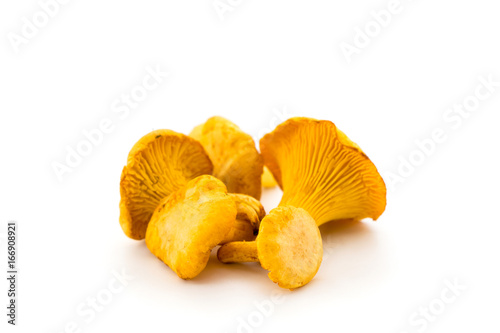 Chanterelle mushrooms on a white background