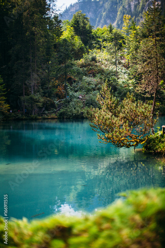 Switzerland Blausee lake © N K C R