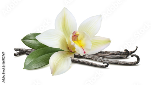 Vanilla with leaves horizontal pod isolated on white