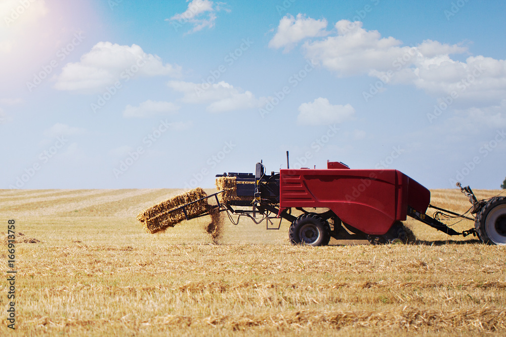 Obraz premium The tractor makes a haystack