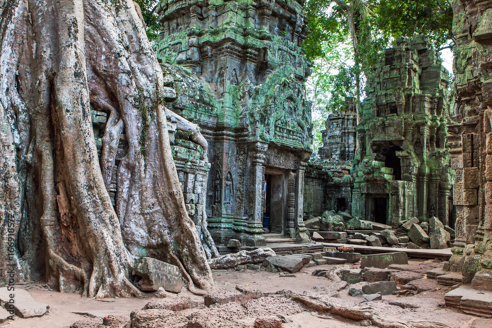 Ta Phrom bei Angkor Wat, Kambodscha