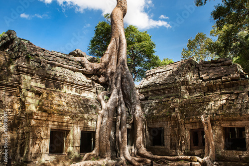 Konstfotografi Ta Phrom bei Angkor Wat, Kambodscha