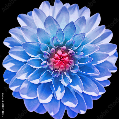 Wunderschöne Blumen im Sommer