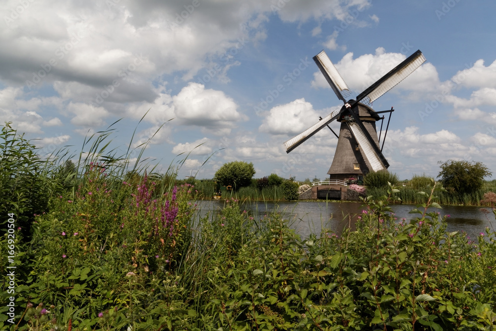 Windmühlen in Kinderdijk