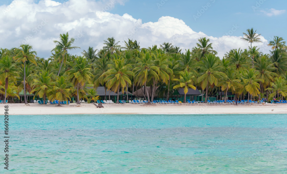Obraz premium Saona Island.