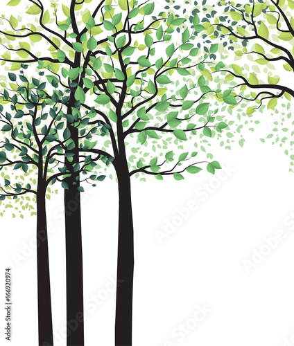 Green trees with leaves