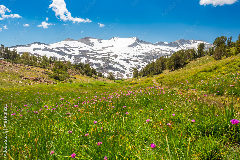 Fototapeta premium Gardisky Lake