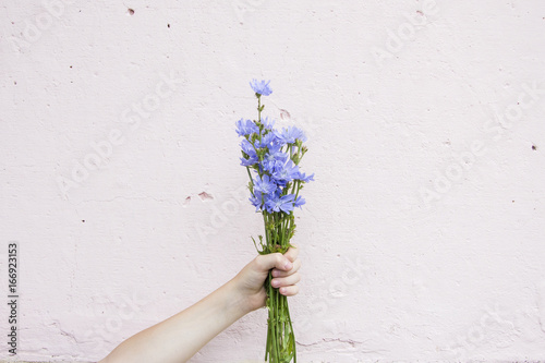 bouquet of wildflowers in hand on wall background