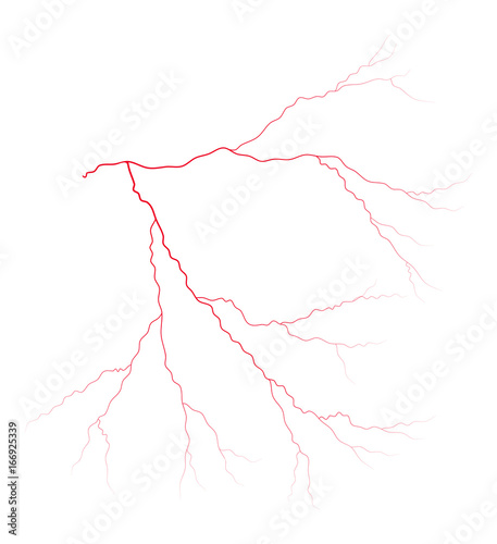 vein blood system vector symbol icon design. Beautiful illustration isolated on white background