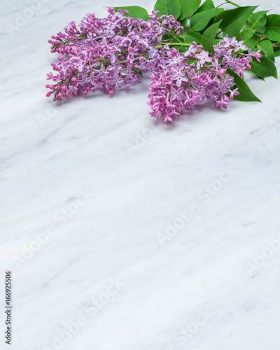 Lilac blossom branches on Carrara marble countertop