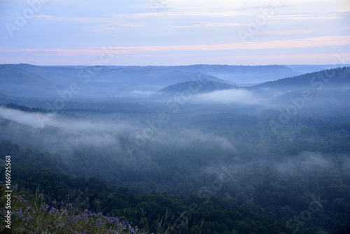 misty dawn in the summer in the mountains
