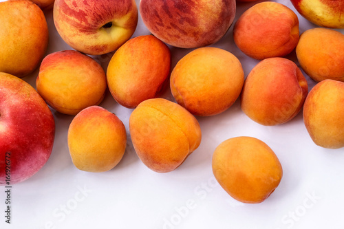 ripe red and orange apricots, nectarines, apples on white background