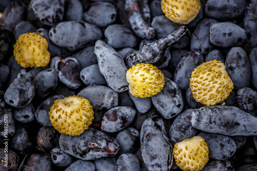 the dark blue berries of honeysuckle and white strawberries