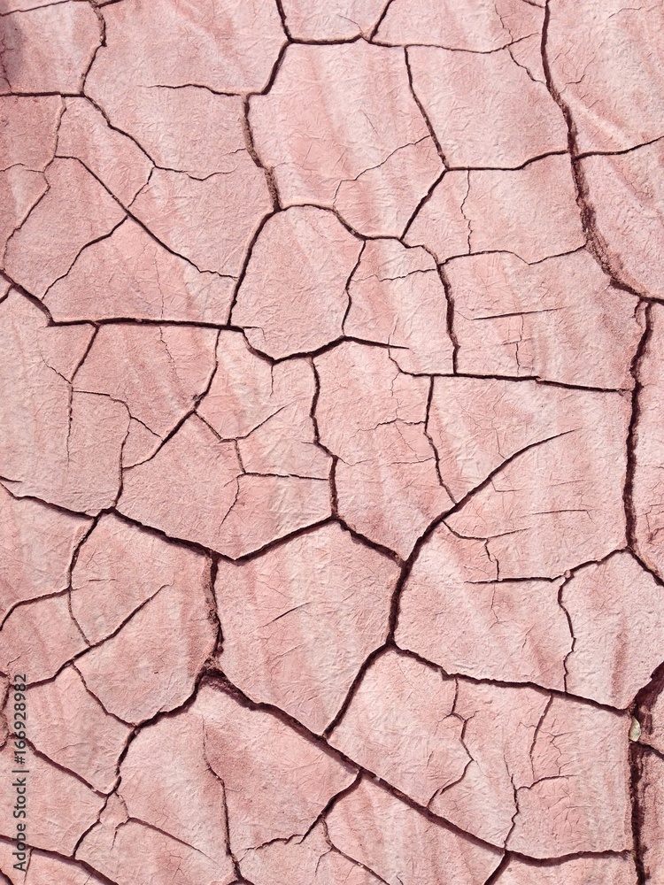 Fototapeta premium Cracked Mud, Arizona, 2014