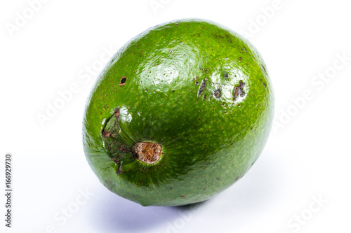 large green avocado