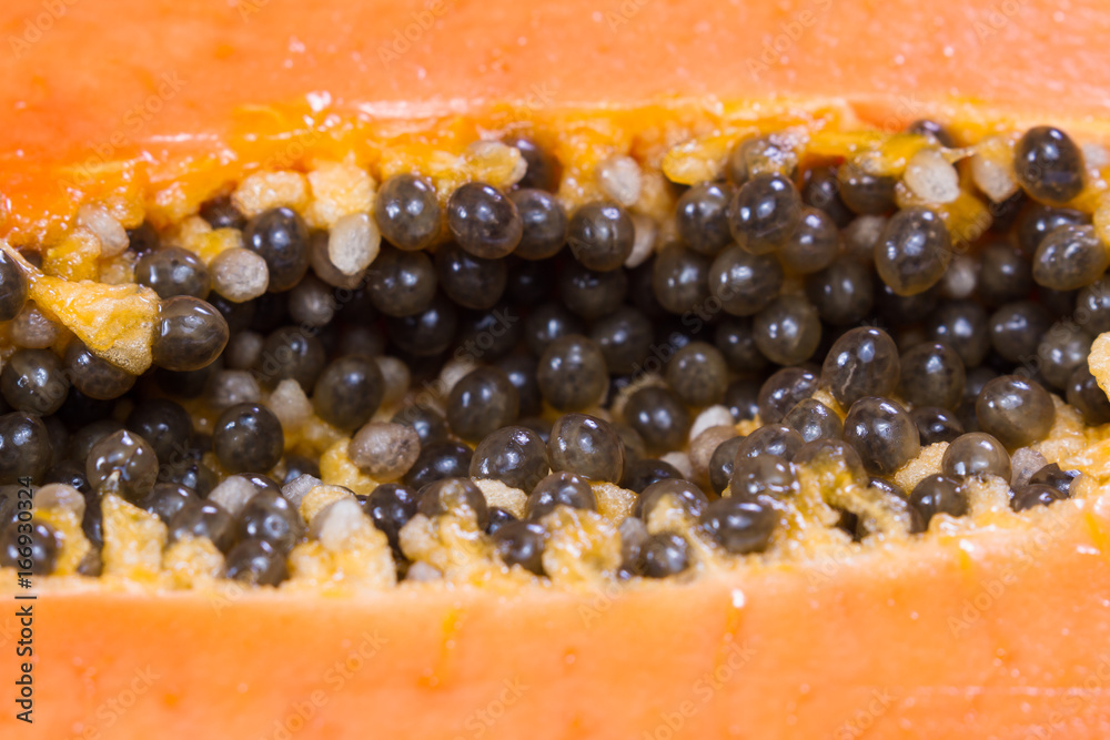 papaya seeds close up