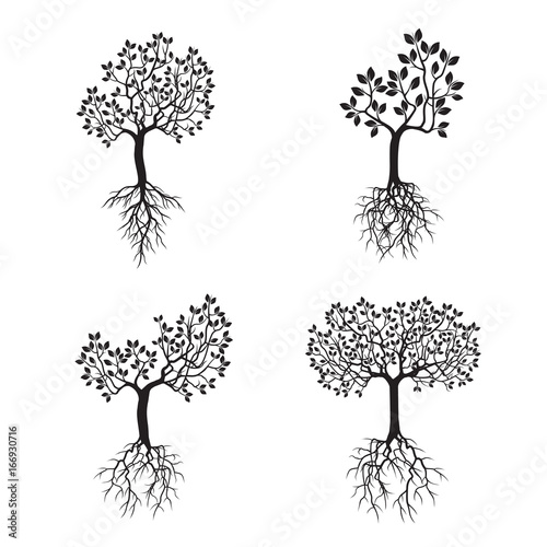 Set black Trees with Leaves and Roots. Vector Illustration.