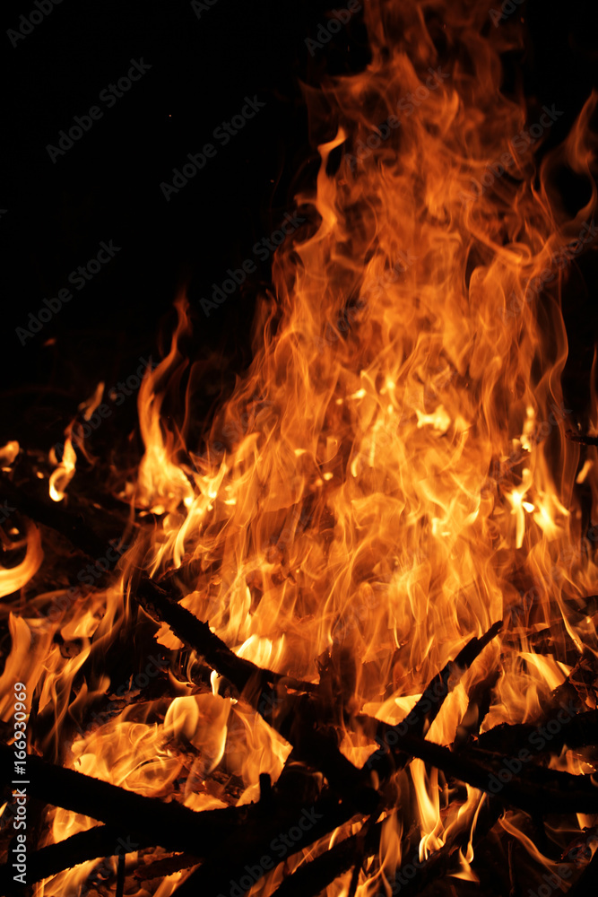 summer campfire - fire wood and flames