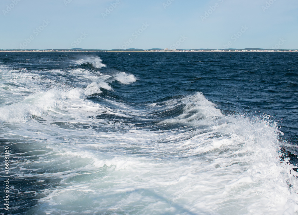 Fototapeta premium Crashing Waves