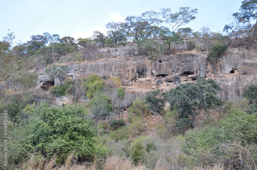 The African landscape. Zimbabwe.