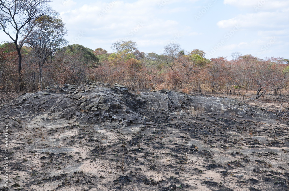 The African landscape. Zimbabwe. The African landscape. Zimbabwe.