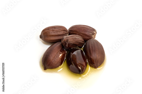 Jojoba oil on seeds of the same plant photo