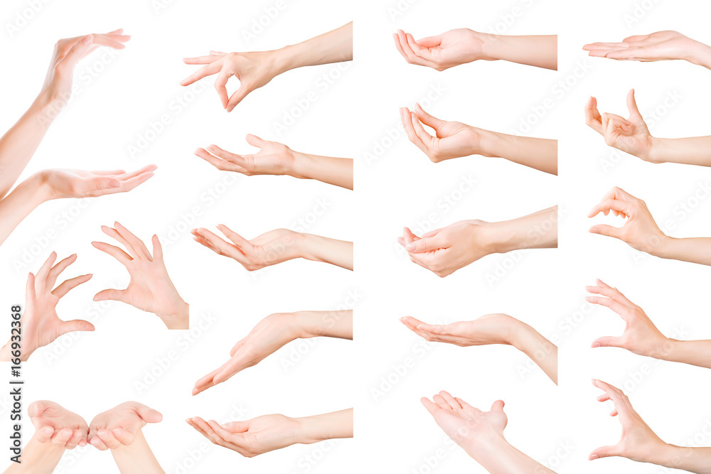 Set of woman hands showing, holding and supporting something. Isolated with clipping path