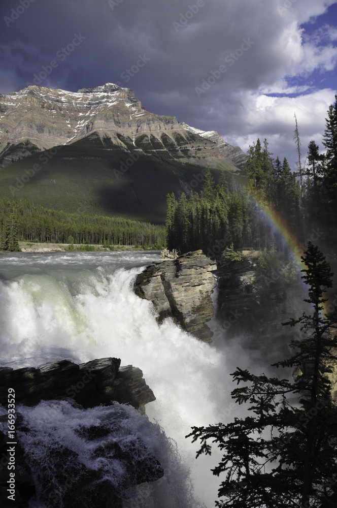 Fototapeta premium Athabasca falls with rainbow in Jasper National Park in Alberta Canada