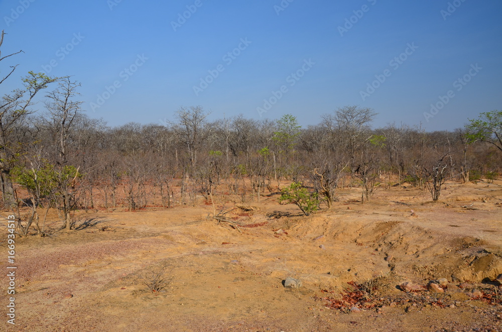 The African landscape. Zimbabwe.